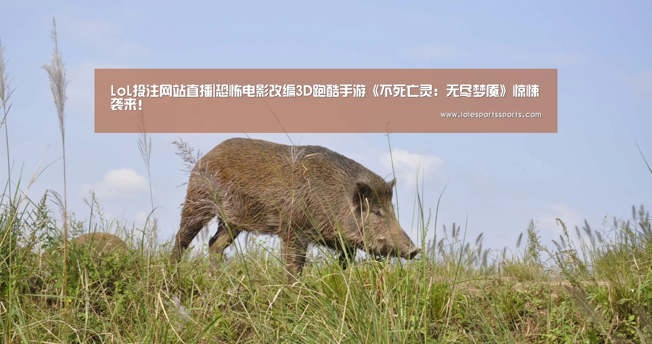 LoL投注网站直播|恐怖电影改编3D跑酷手游《不死亡灵:无尽梦魇》惊悚袭来!(图3) 2026年最佳英雄联盟投注网站