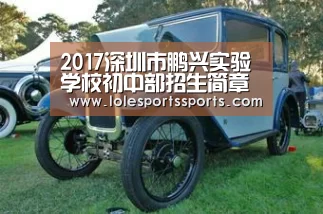 2017深圳市鹏兴实验学校初中部招生简章-深圳小升初【202