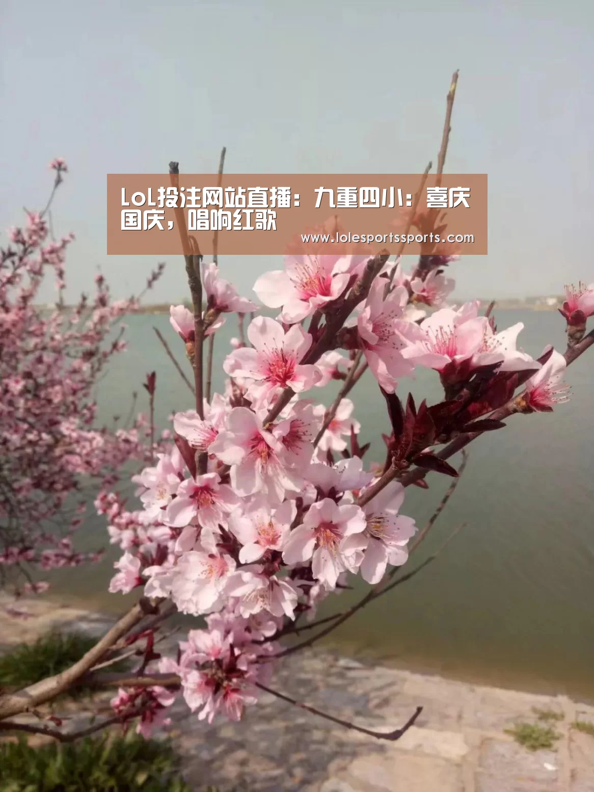 LoL投注网站直播：九重四小：喜庆国庆，唱响红歌